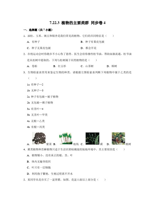 北师大版生物八年级下册 植物的主要类群