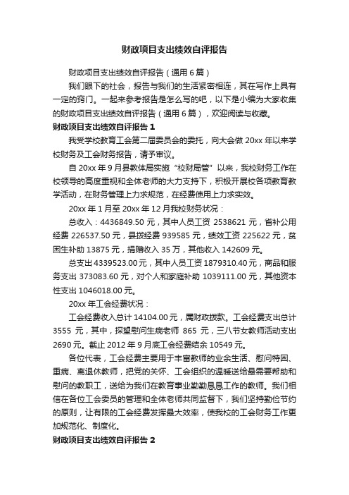 财政项目支出绩效自评报告（通用6篇）