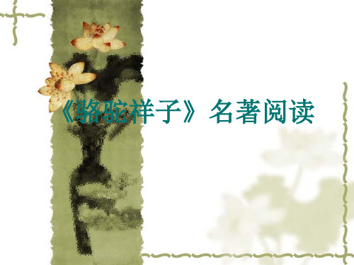 (人教版)八年级上语文名著导读《骆驼祥子》ppt课件