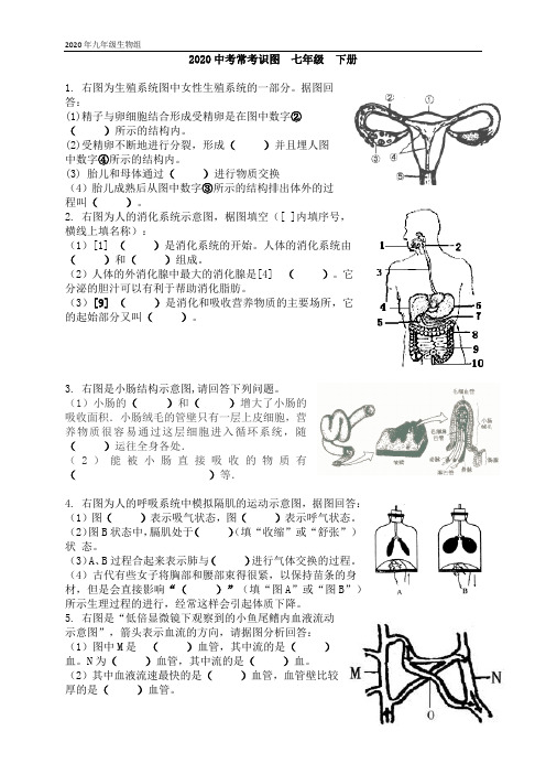 2020中考生物(人教版)常考识图七年级下册1-3页