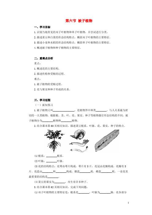 德昌县某中学七年级生物上册第一单元我们身边的生命世界第三章形形色色的植物第六节被子植物学案新版冀教