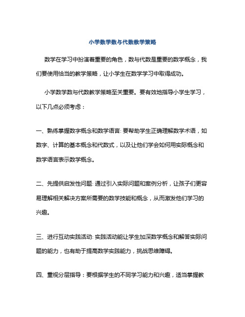 小学数学数与代数教学策略