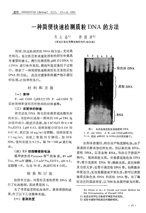 一种简便快速检测质粒DNA的方法