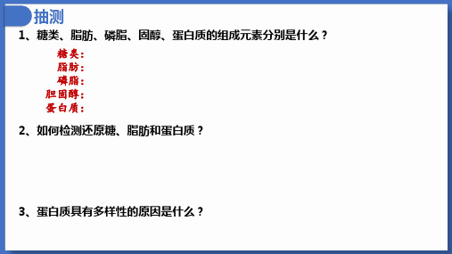 核酸是遗传信息的携带者ppt课件