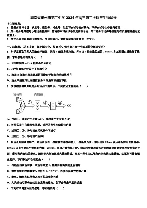 湖南省郴州市第二中学2024年高三第二次联考生物试卷含解析