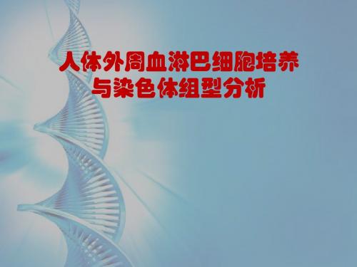 细胞生物学自主实验