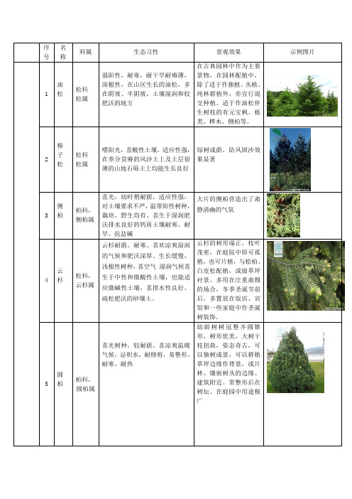 北疆常用植物