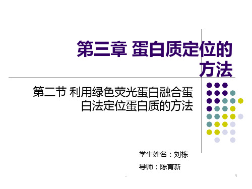 GFP融合蛋白进行蛋白质的亚细胞定位解析PPT课件