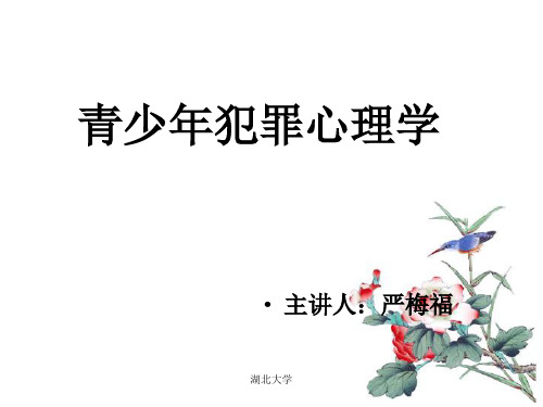 青少年犯罪心理学