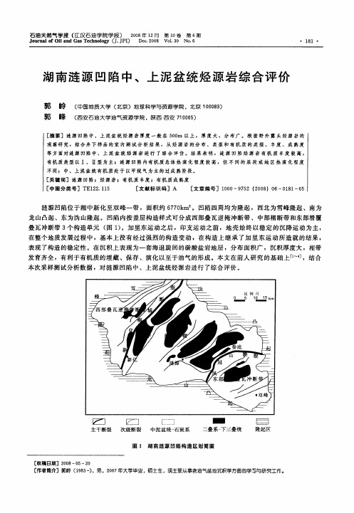 湖南涟源凹陷中、上泥盆统烃源岩综合评价