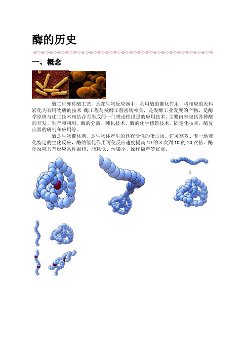 食品化学酶的历史