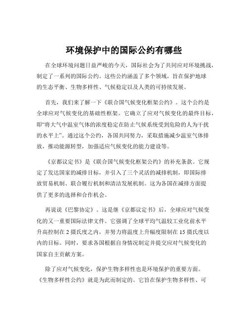 环境保护中的国际公约有哪些