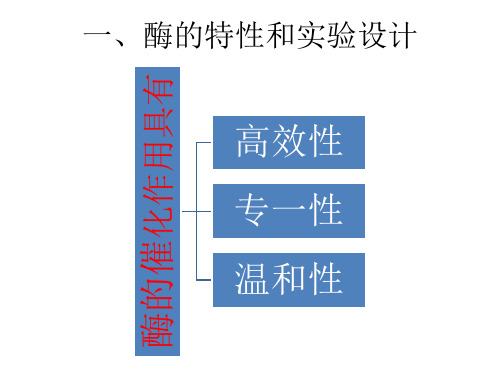 酶的催化作用特性及实验设计ppt课件