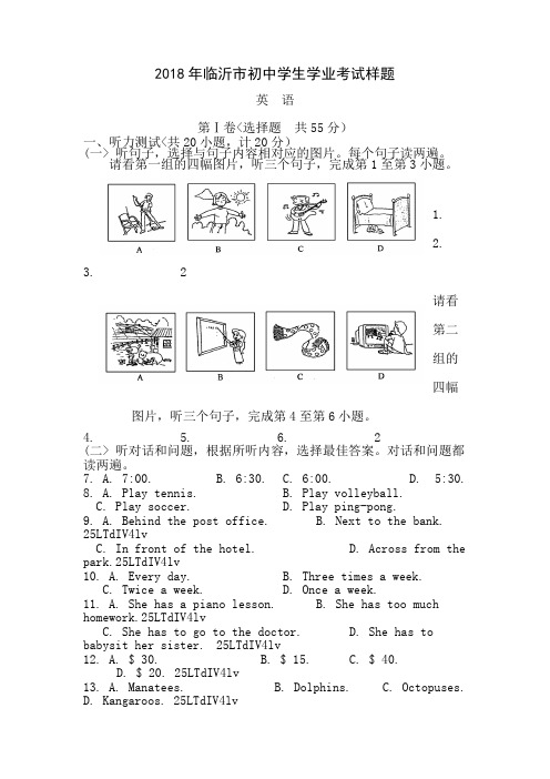 山东省临沂市2018年中考样卷英语试题