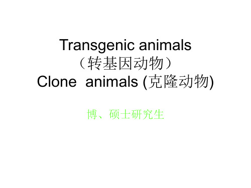 转基因动物(Transgenic  animals )