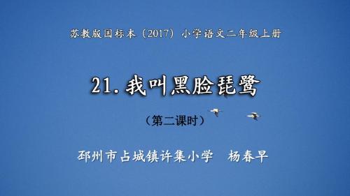 我叫黑脸琵鹭第2课时教学课件苏教版2017语文二年级上册第21课我叫黑脸琵鹭公开课PPT杨春早