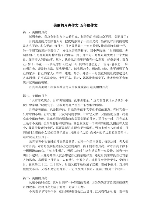 美丽的月亮作文_五年级作文