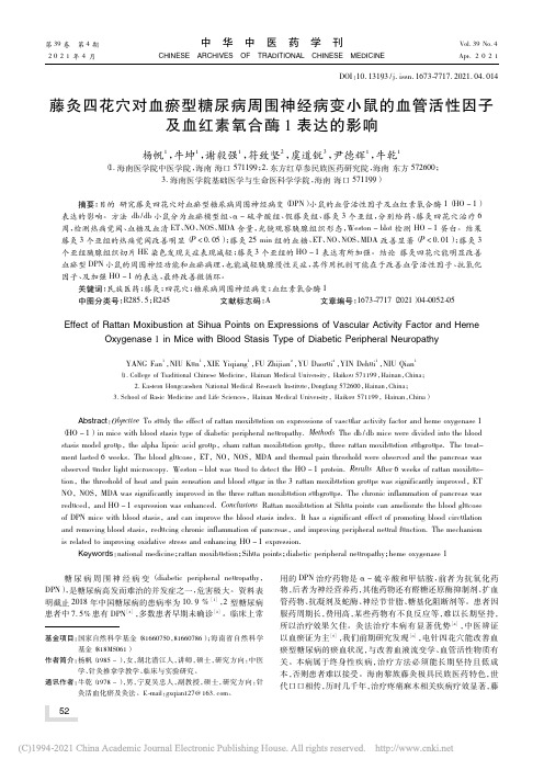 藤灸四花穴对血瘀型糖尿病周围神经_省略_性因子及血红素氧合酶1表达的影响_杨帆