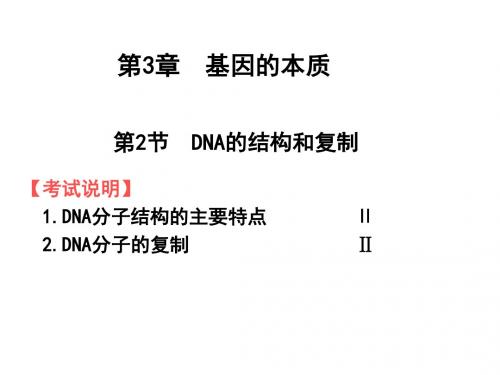 DNA的结构和复制