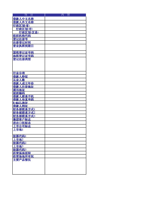 借款人基本信息模板