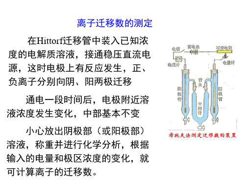 离子迁移数的计算