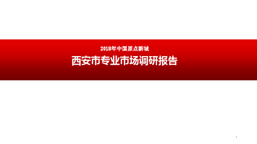 2018年西安市专业市场调研报告