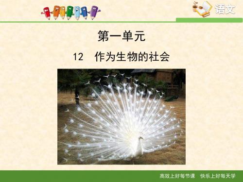 人教版高中语文必修五 12《作为生物的社会》课件