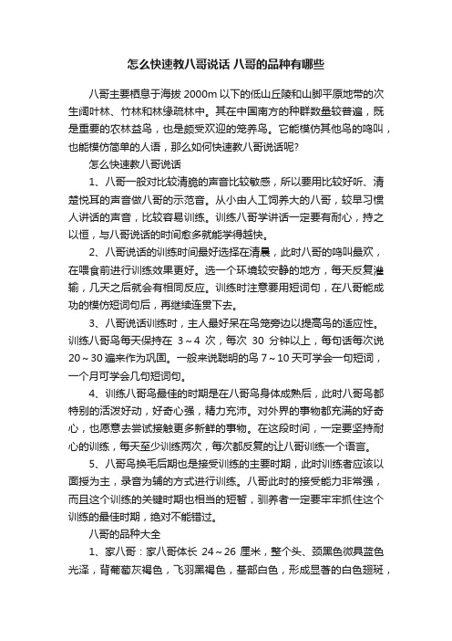 怎么快速教八哥说话八哥的品种有哪些