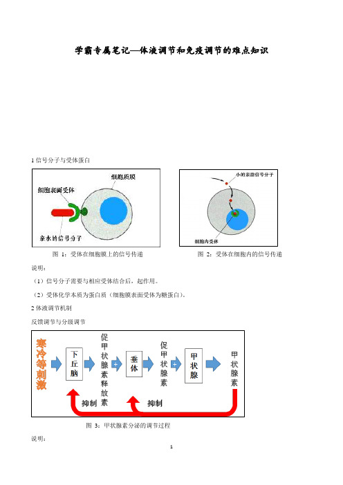 体液调节和免疫调节-高考生物