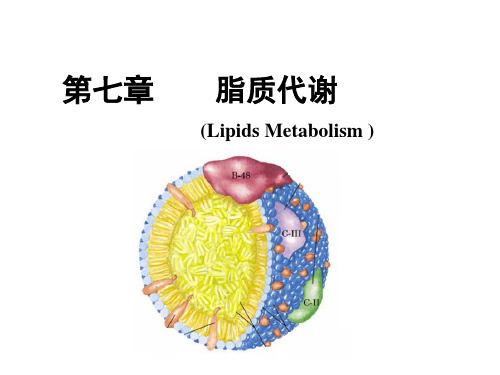 生物化学 脂质代谢