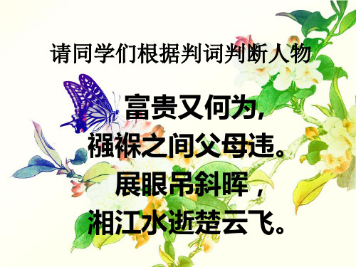 枕霞旧友史湘云PPT课件