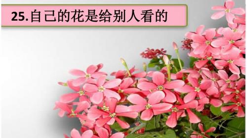 人教版小学语文五年级下册《25自己的花是让别人看的》公开课课件