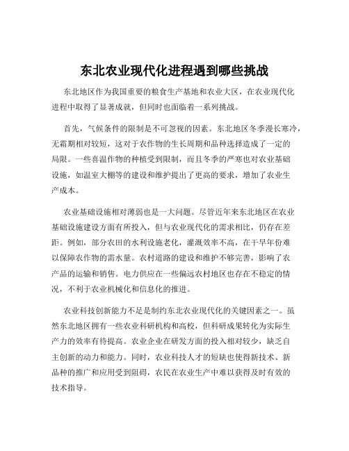 东北农业现代化进程遇到哪些挑战