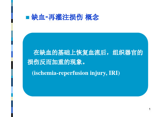 缺血再灌注损伤PPT课件