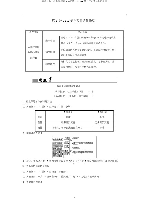 高考生物一轮总复习第5单元第1讲DNA是主要的遗传物质教案