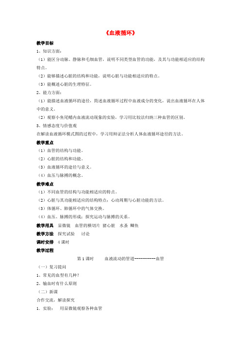 七年级生物下册第9章第二节血液循环教案1北师大版