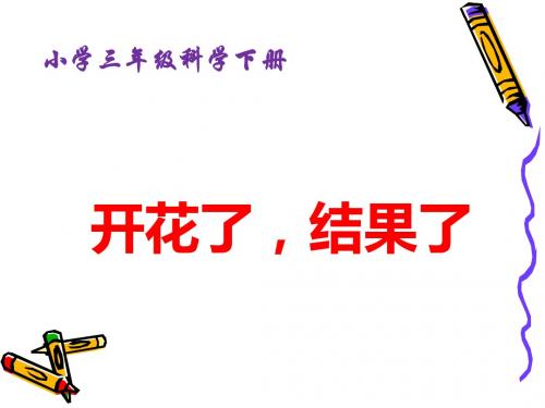 三年级科学下册《开花了,结果了》优质课件
