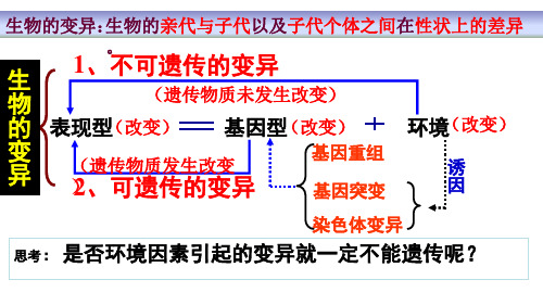 染色体变异(第一课时)(共30张PPT)