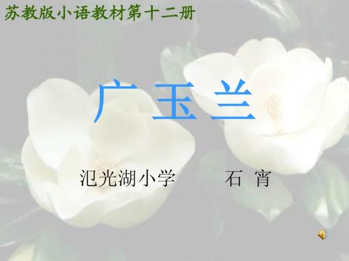 广玉兰课件 优质课.ppt