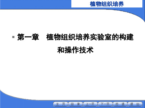 植物组织培养实验室的构建和操