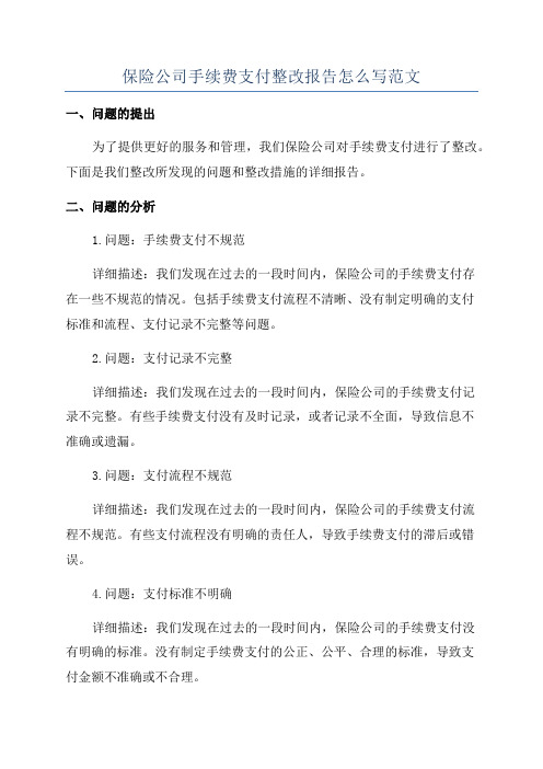 保险公司手续费支付整改报告怎么写范文