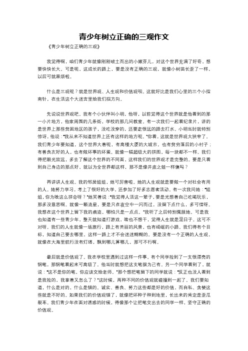 青少年树立正确的三观作文