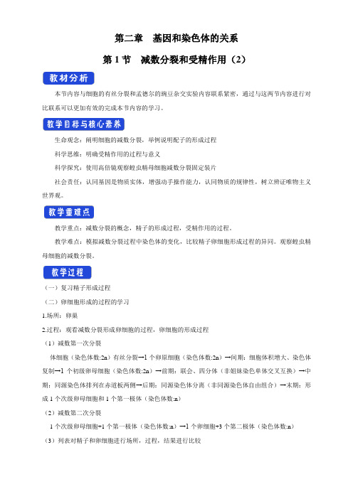 【新教材】2.1.2 减数分裂与受精作用 教学设计-人教版高中生物必修2遗传与进化