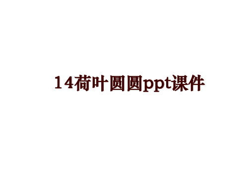 14荷叶圆圆ppt课件