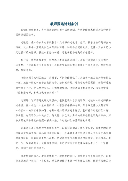 教师国培计划案例