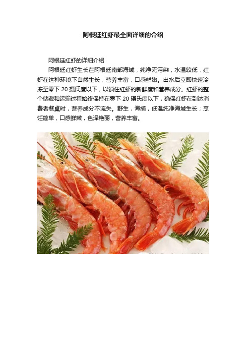 阿根廷红虾最全面详细的介绍