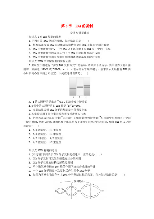 2023版新教材高中生物第3章基因的本质第3节DNA的复制课时作业新人教版必修2