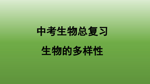 生物总复习之生物的多样性