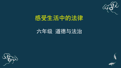 部编版小学六年级道德与法治上册1《感受生活中的法律》教学课件