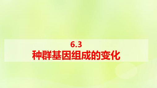 新教材高中生物第6章生物的进化：种群基因组成的变化第1课时pptx课件新人教版必修2